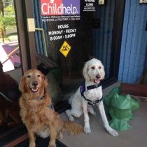 Foto de Childhelp de: Service Dogs at Advocacy Center