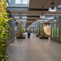 Foto de Bestseller de: Brande offices