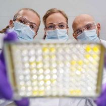 Foto de Merck KGaA de: Mitarbeitende