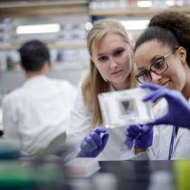 Foto de Moffitt Cancer Center de: Moffitt Cancer Center is an NCI-designated Comprehensive Cancer Center based in Tampa, Florida. [Â© Moffitt Cancer Center]
