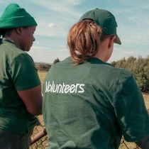Foto de FOUR PAWS de: We appreciate our volunteers at LIONSROCK Big Cat Sanctuary!
